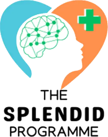 The Splendid Programme