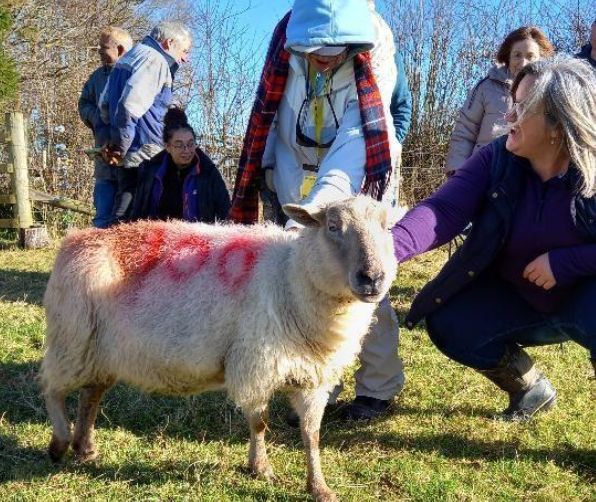 New Evaluation Shows Nature-Based Programme Delivered Strong Mental Wellbeing Outcomes Across the Mendip Hills